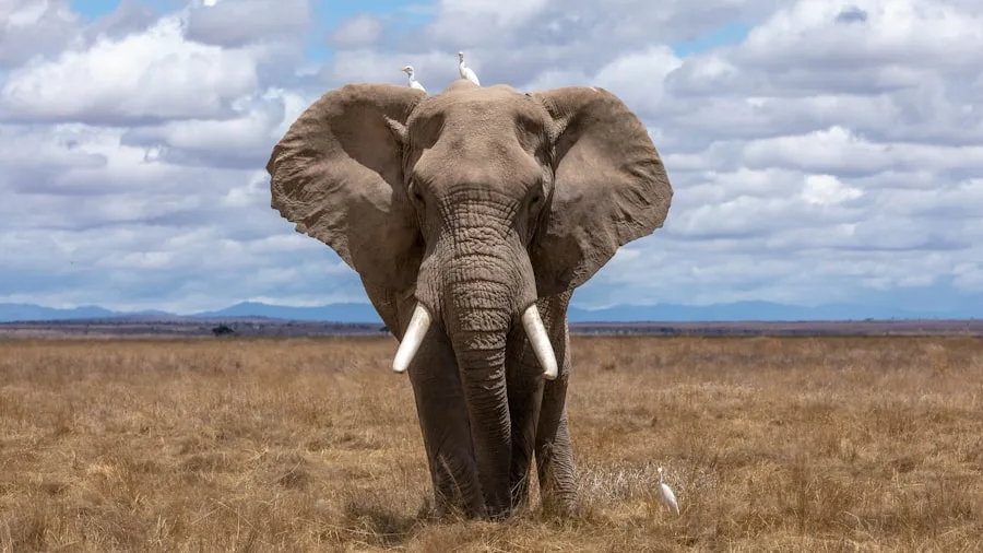 Nature, Wildlife & Eco Tours